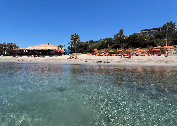 T2 Vue Avec Et Piscine Front De Lejlighed Six-Fours-les-Plages